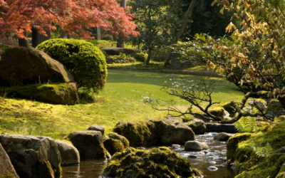 Le Château de Valmirande et les Jardins japonais