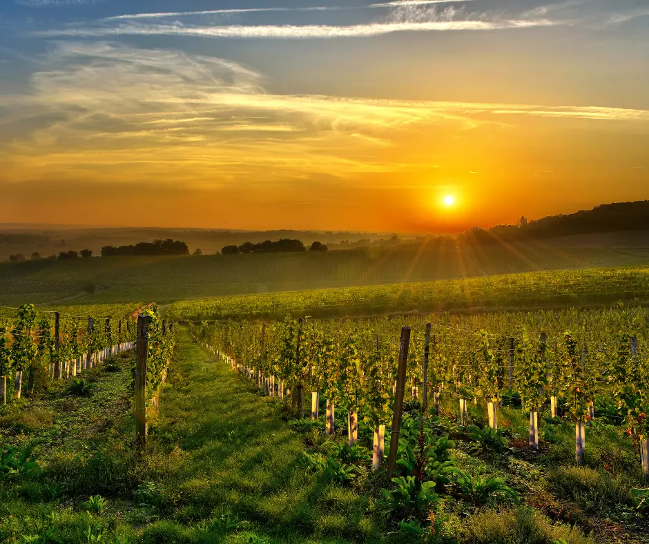 DORDOGNE BERGERAC