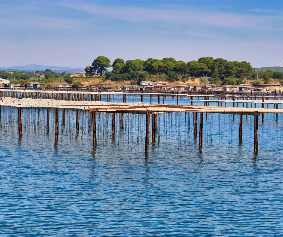 Etang de Thau