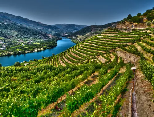 Portugal Voyage groupe Douro