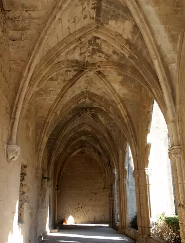 Aveyron-.Sortie-groupe-SYlvanès